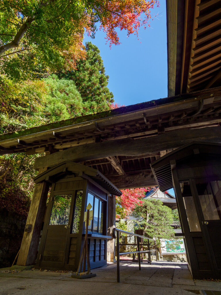 山形の絶景スポット!山寺(立石寺)で歴史と松尾芭蕉の足跡を感じる旅奥の細道の世界を体験しませんか?|dewa