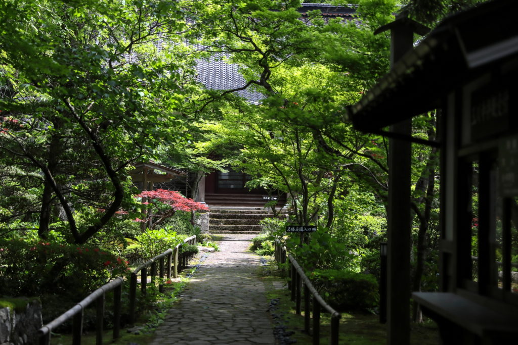 国見山玉川寺 - 鶴岡市
小道