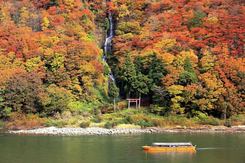 最上川舟下り　秋の紅葉