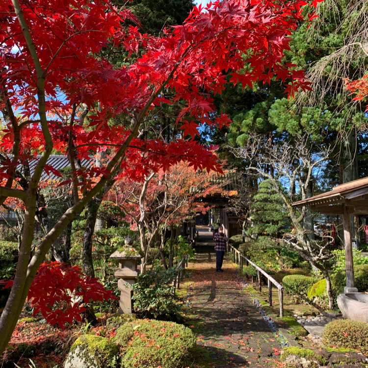 国見山玉川寺 - 鶴岡市
もみじ庭園