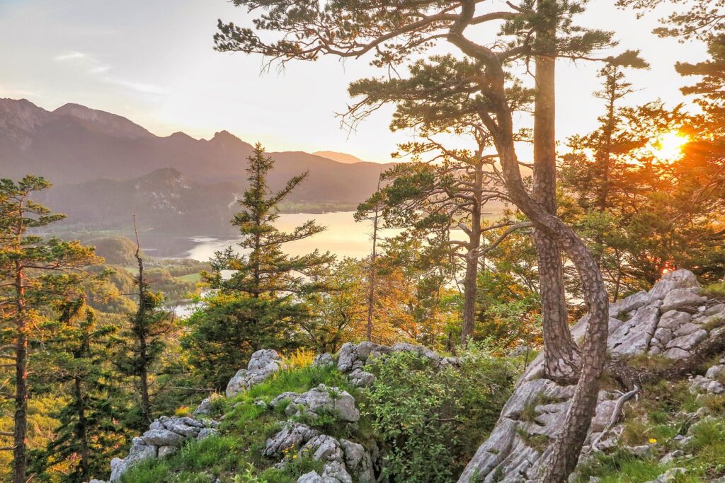 山の景色