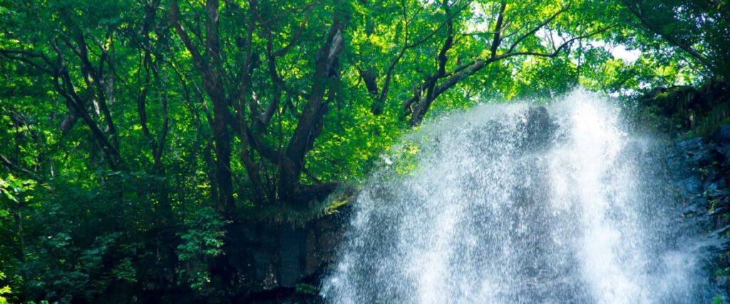 山形県酒田市　滝