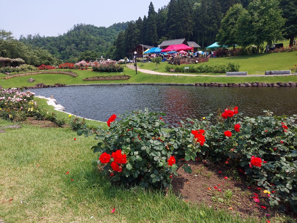 バラ園に流れる川