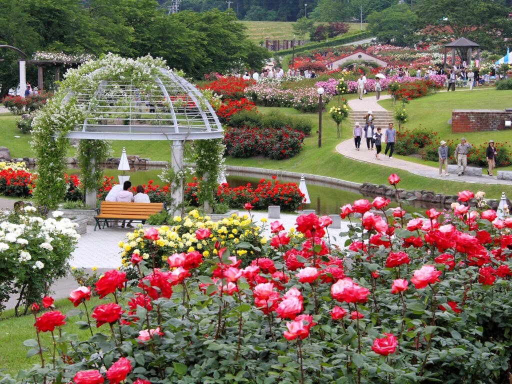 〒995-0023 山形県村山市楯岡東沢１−番25号　東沢バラ公園　ひろば