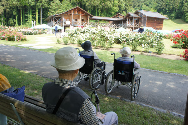 車椅子で回る園内