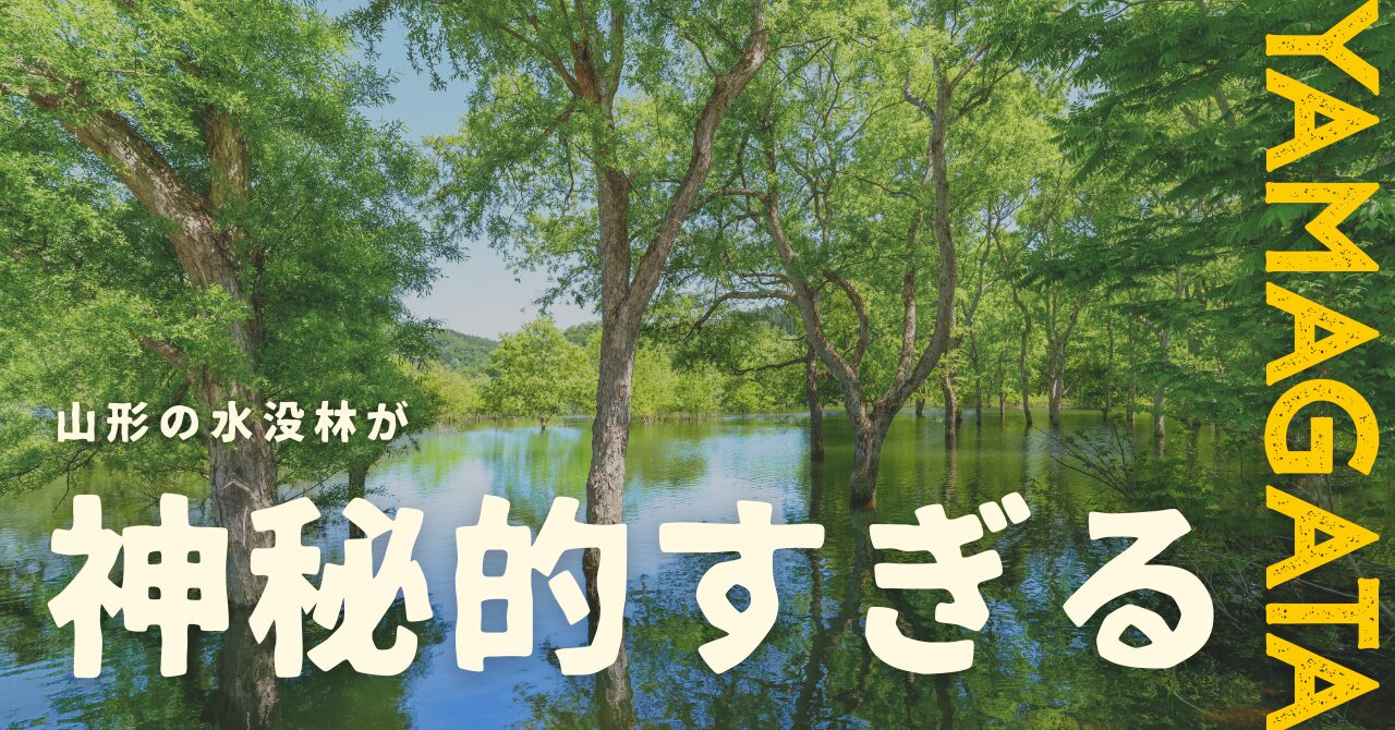 仙台から2時間半、“春だけ現れる森”に会いに行く旅—白川湖の水没林を目的にした、心を静かに満たす1泊2日