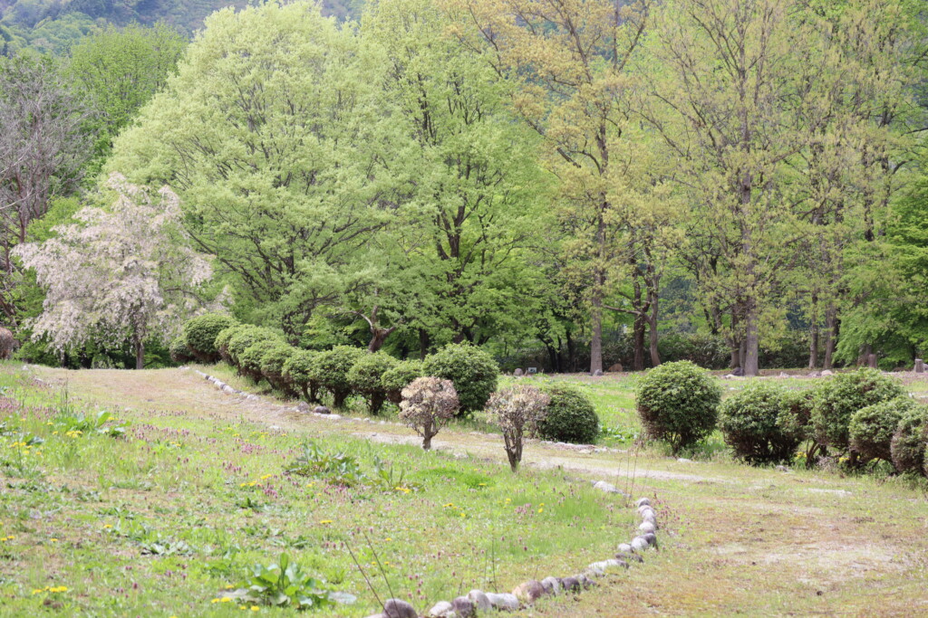 古代の丘　キャンプ広場